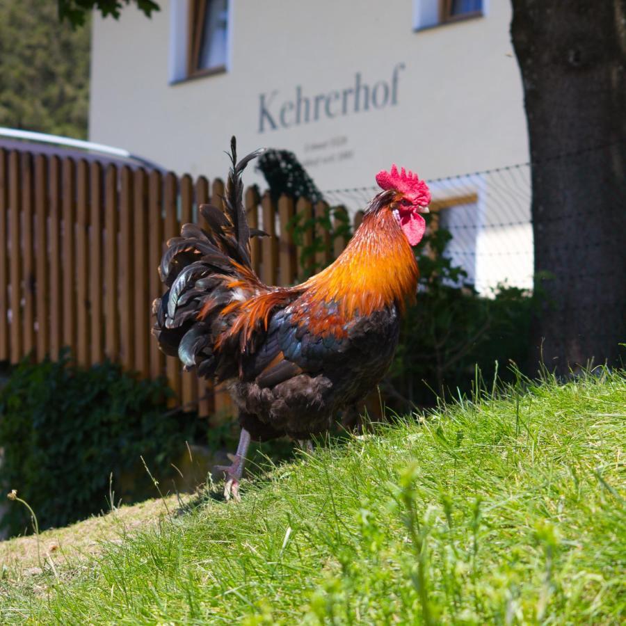 Hotel Kehrerhof Ellbögen Esterno foto